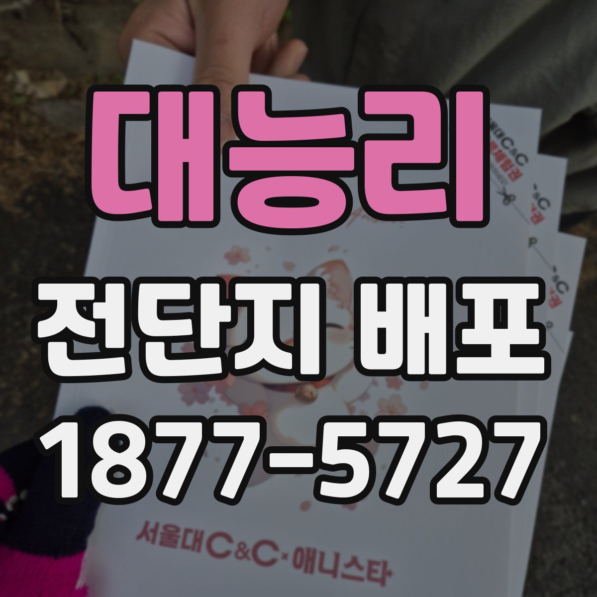 대능리 전단지 배포