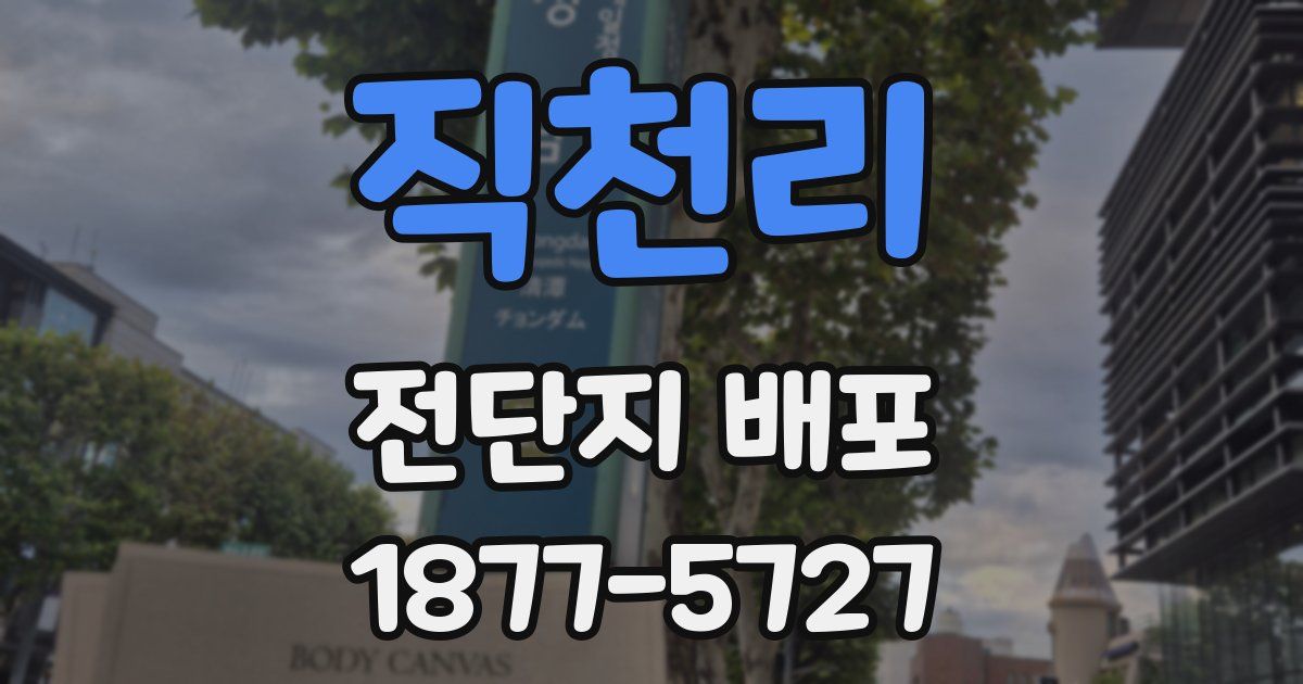 직천리 전단지 배포
