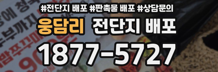 웅담리 전단지 배포
