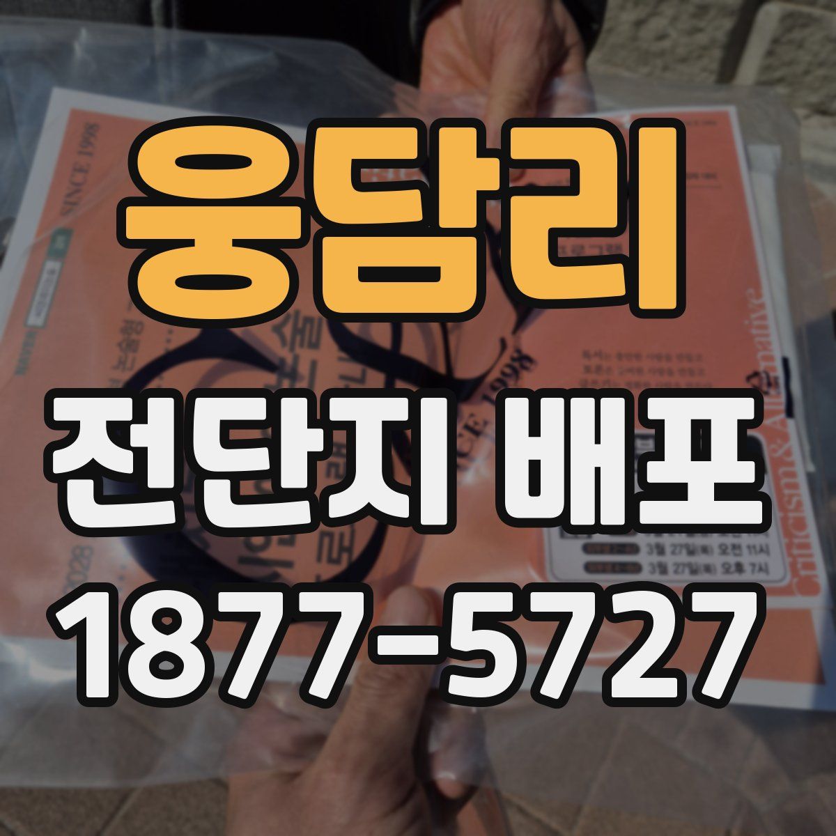 웅담리 전단지 배포