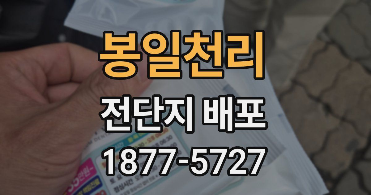 봉일천리 전단지 배포