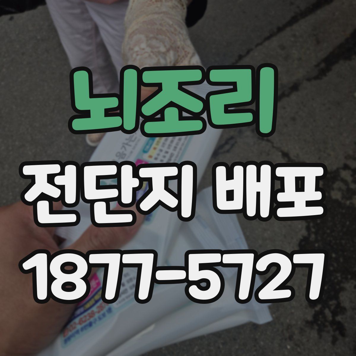 뇌조리 전단지 배포