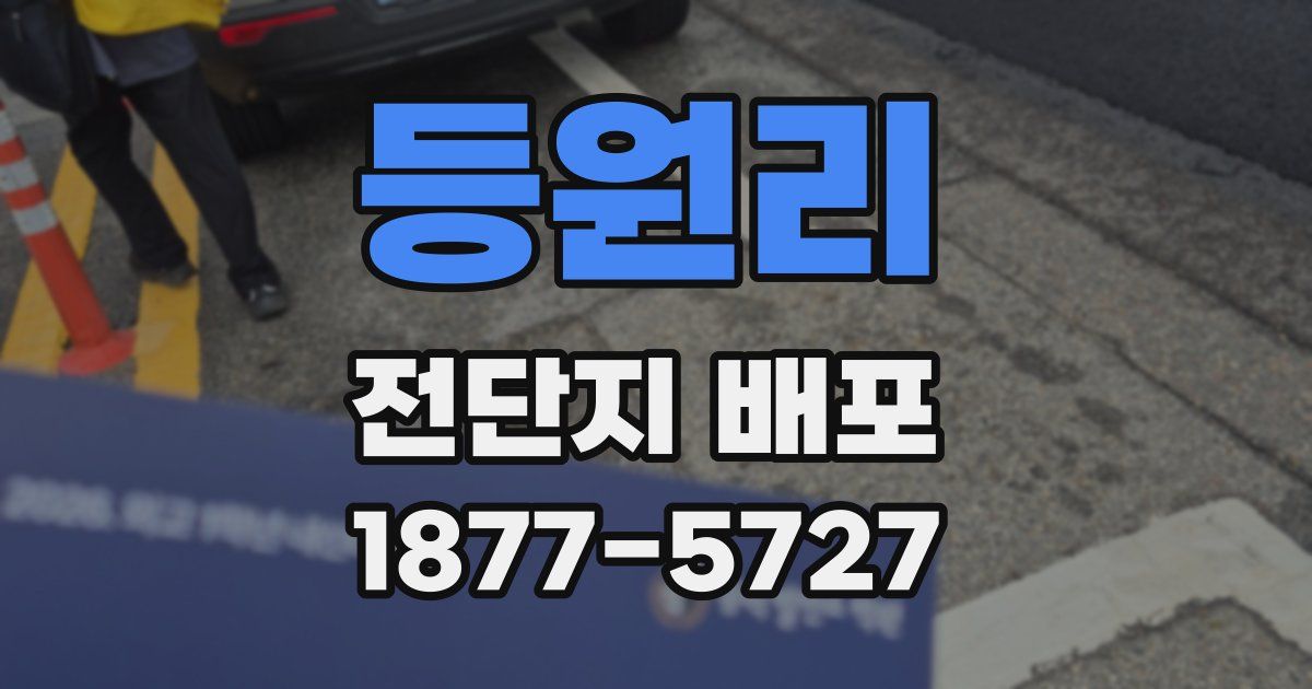 등원리 전단지 배포