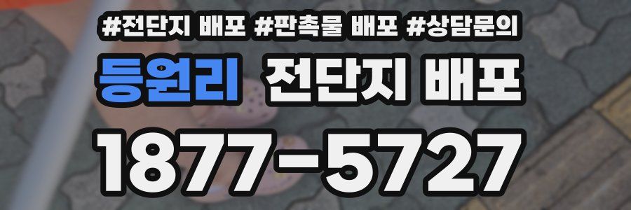 등원리 전단지 배포