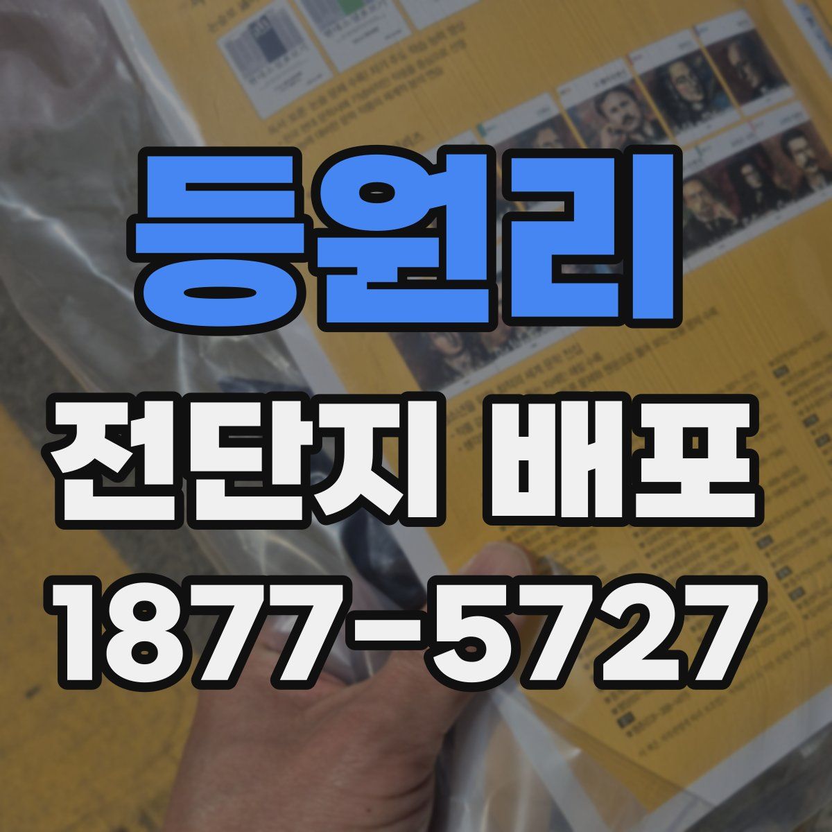 등원리 전단지 배포