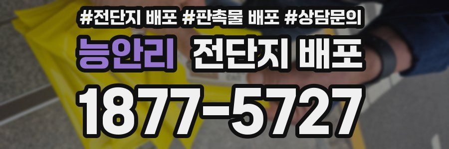 능안리 전단지 배포