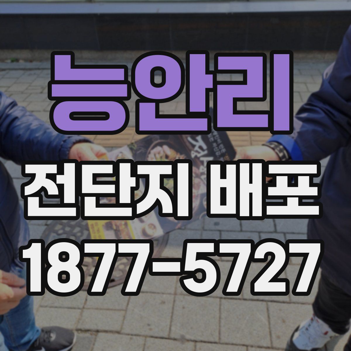 능안리 전단지 배포