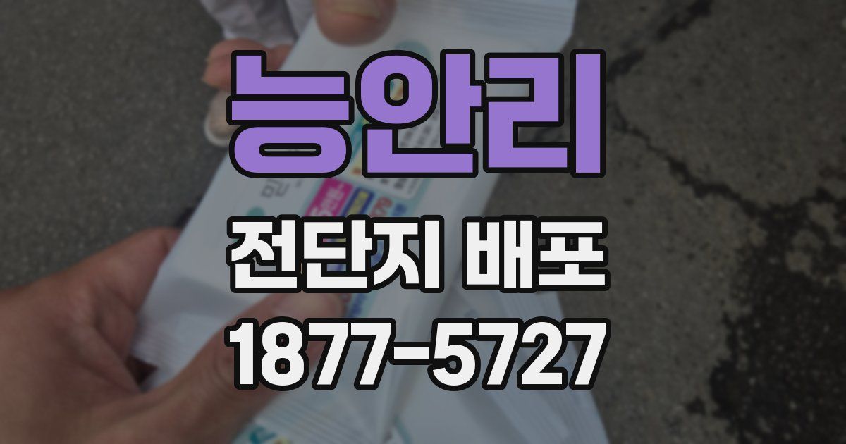 능안리 전단지 배포