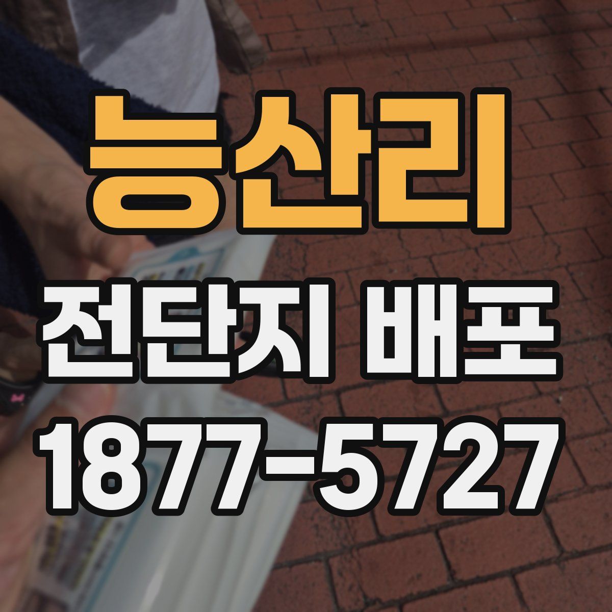 능산리 전단지 배포