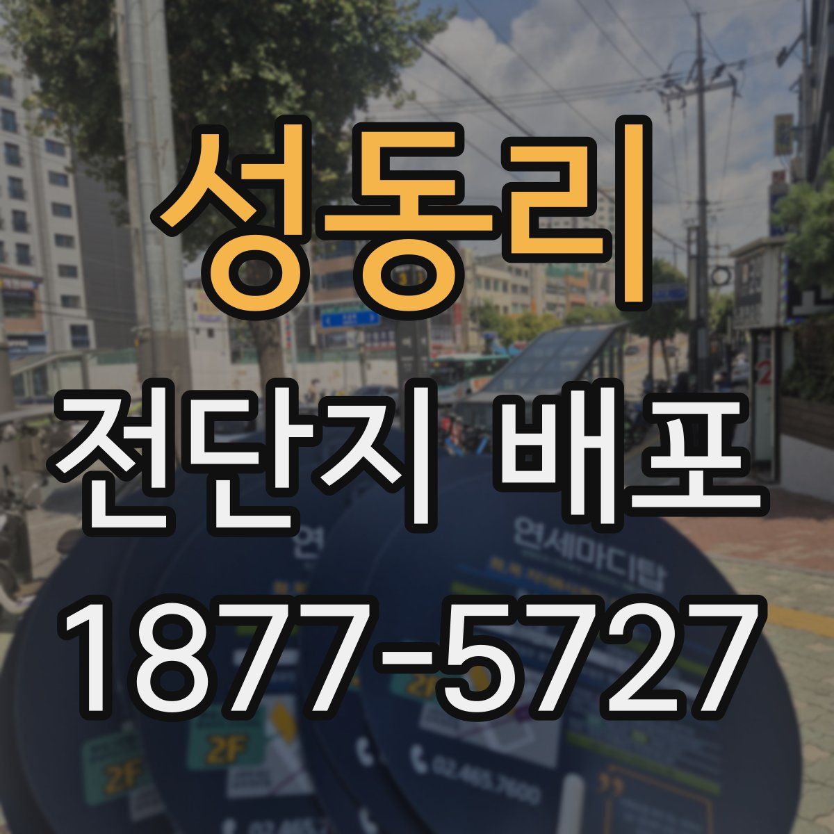 성동리 전단지 배포