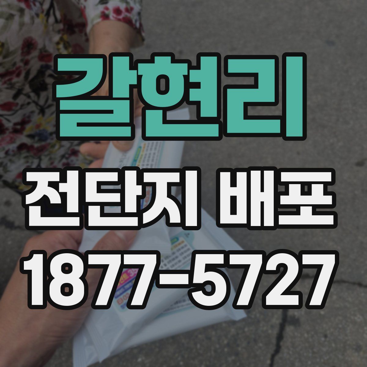 갈현리 전단지 배포
