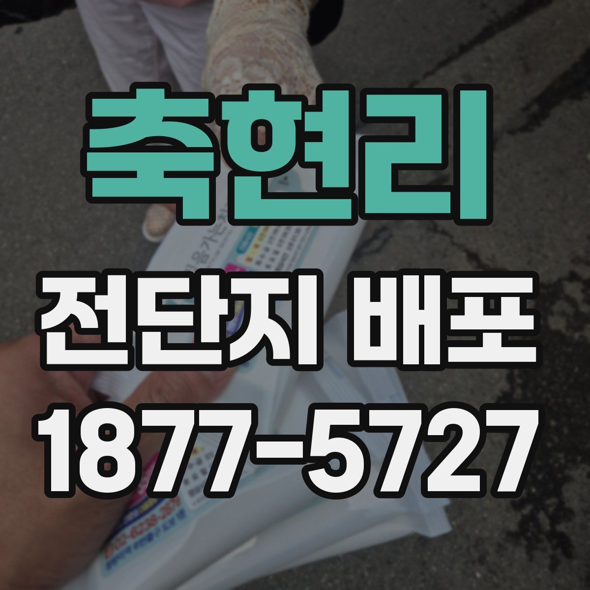 축현리 전단지 배포