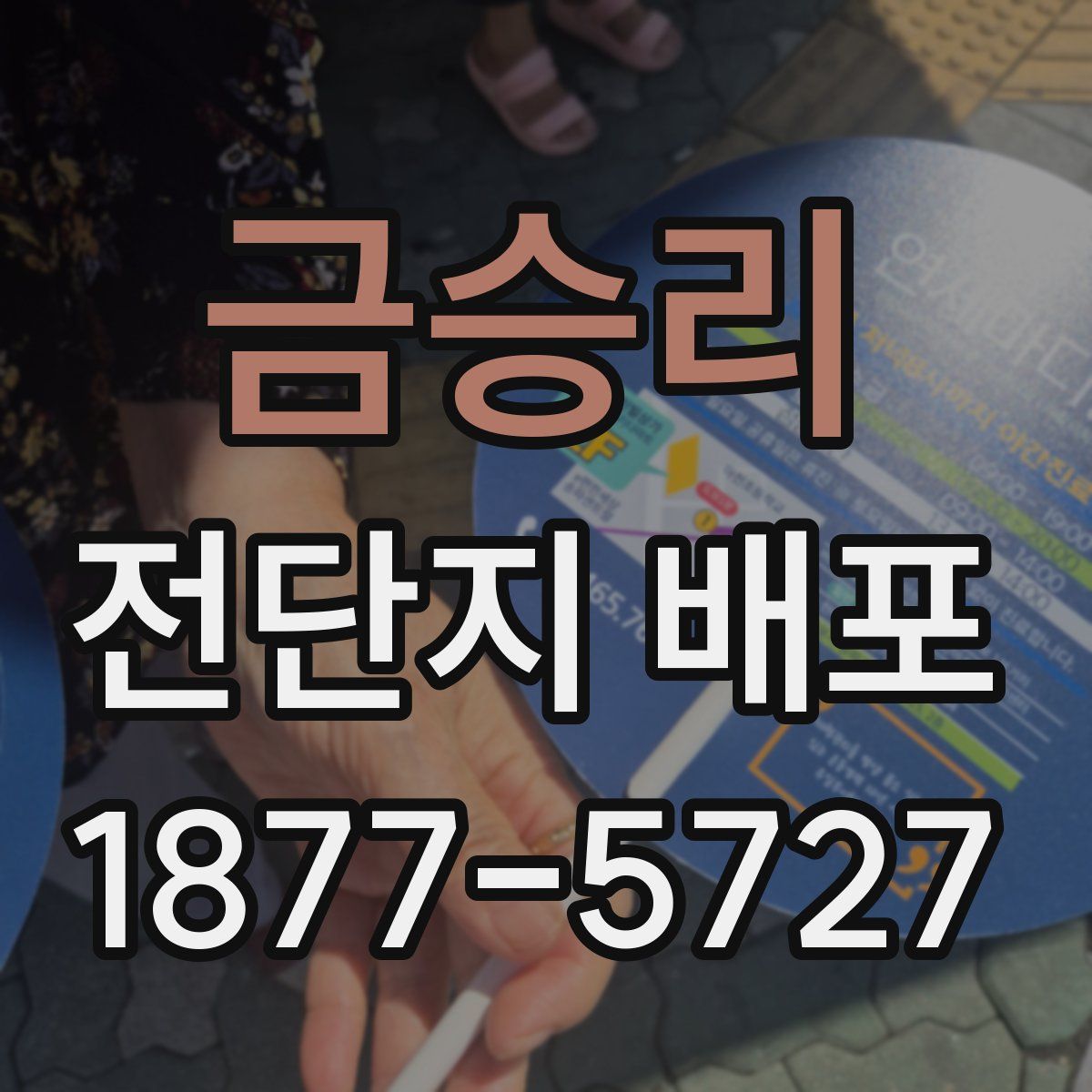 금승리 전단지 배포
