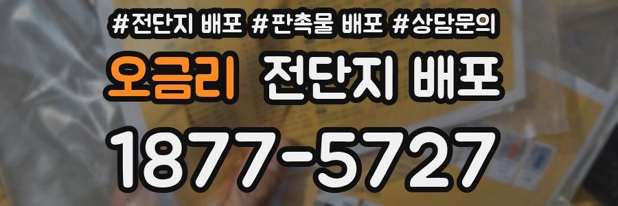 오금리 전단지 배포
