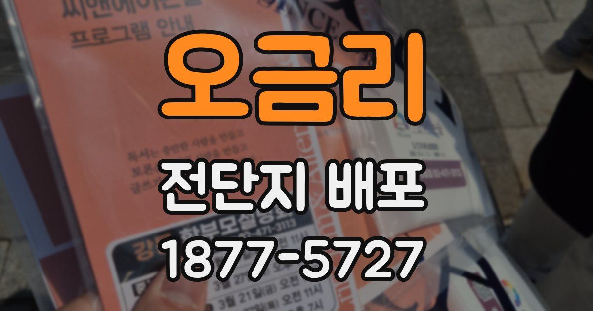 오금리 전단지 배포