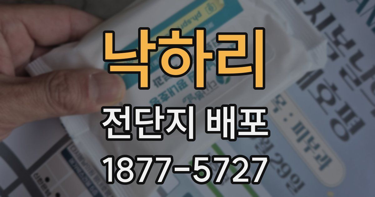 낙하리 전단지 배포