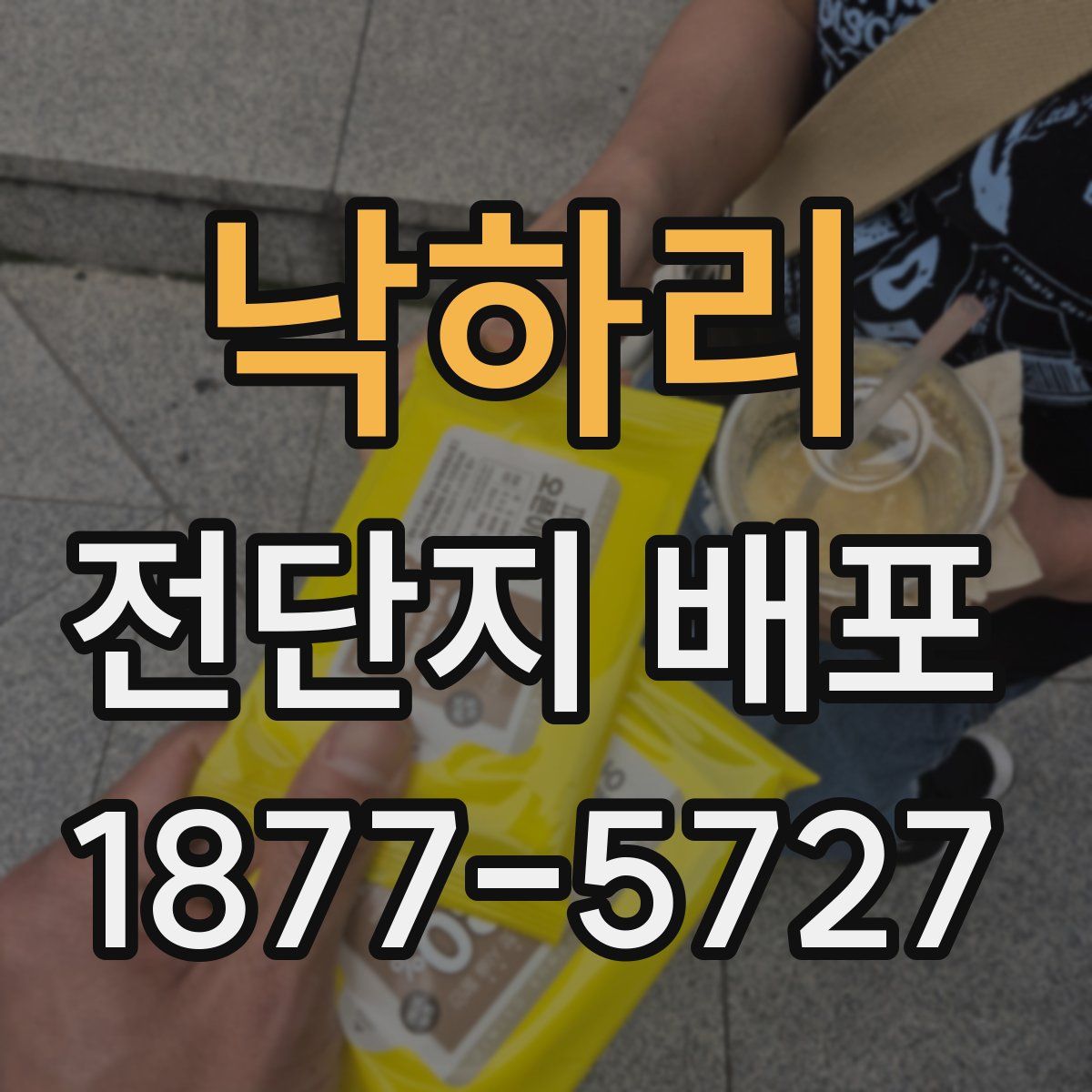 낙하리 전단지 배포