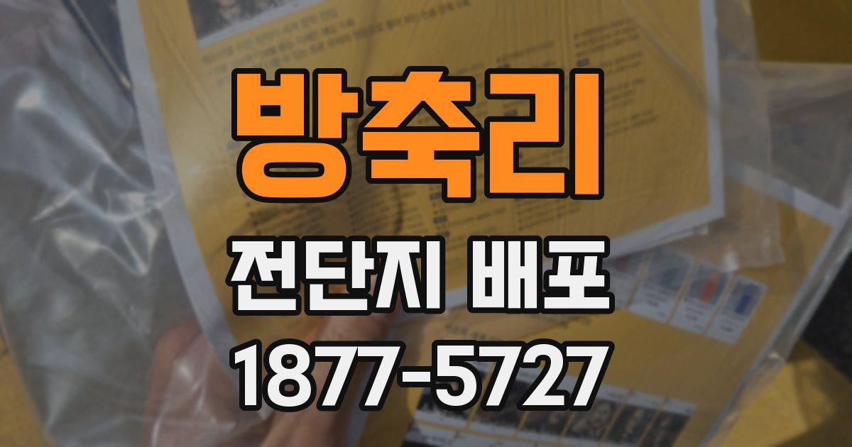 방축리 전단지 배포