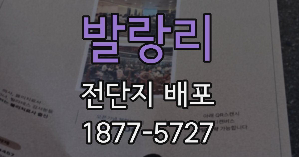 발랑리 전단지 배포