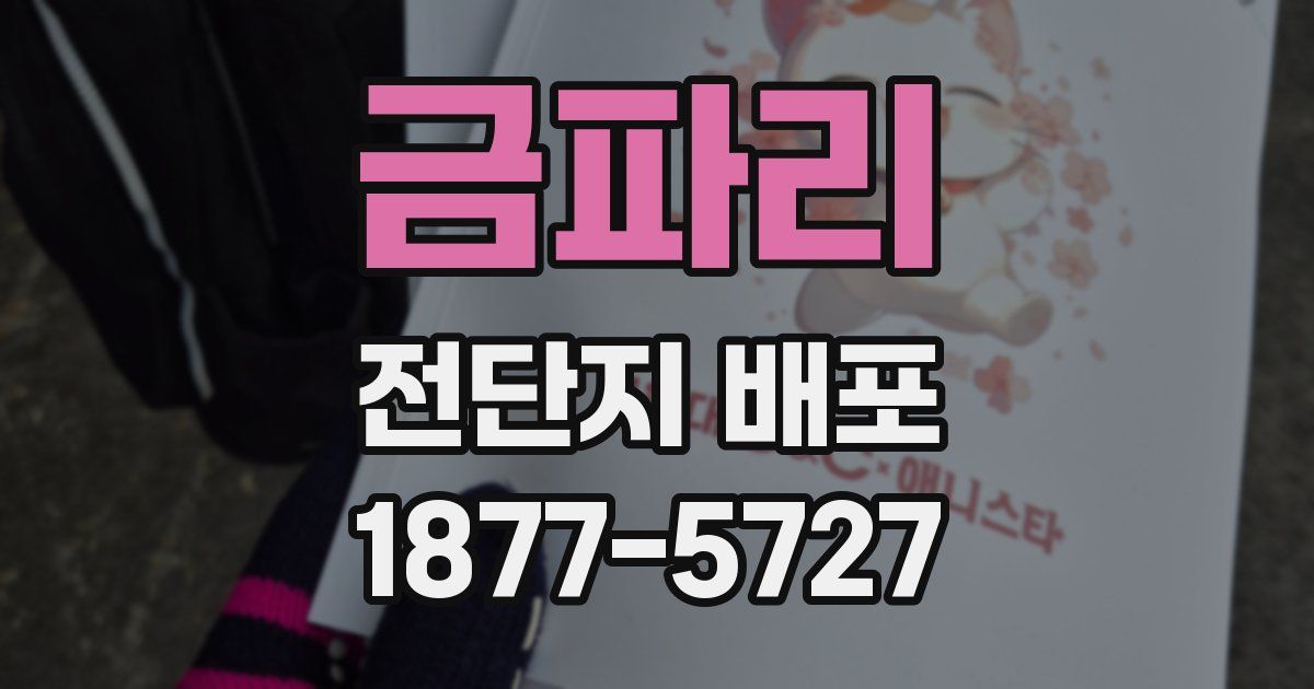 금파리 전단지 배포