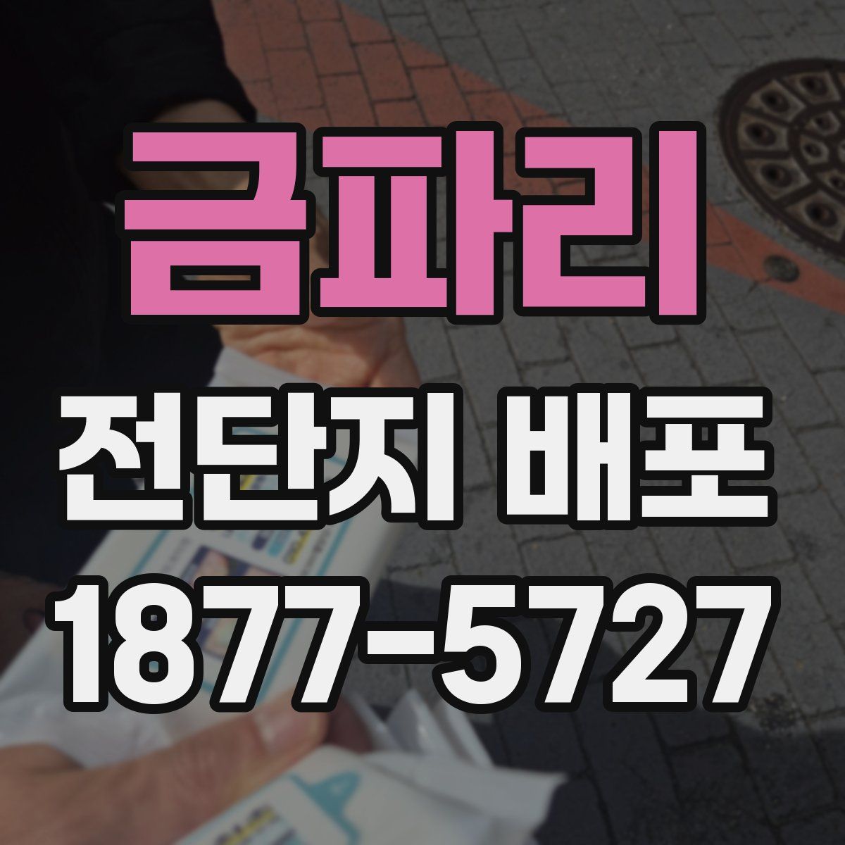 금파리 전단지 배포