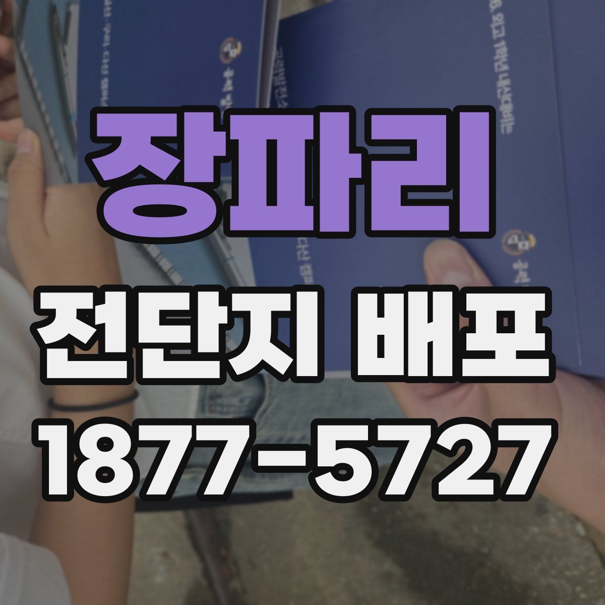 장파리 전단지 배포