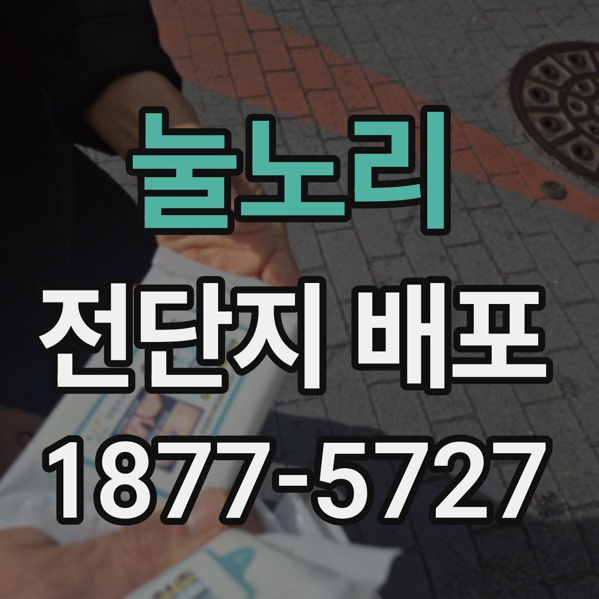 눌노리 전단지 배포