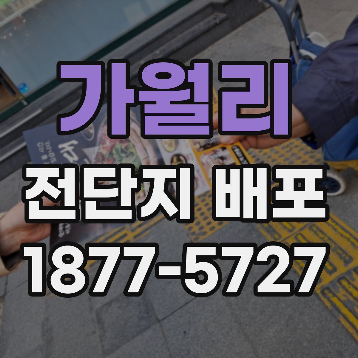 가월리 전단지 배포