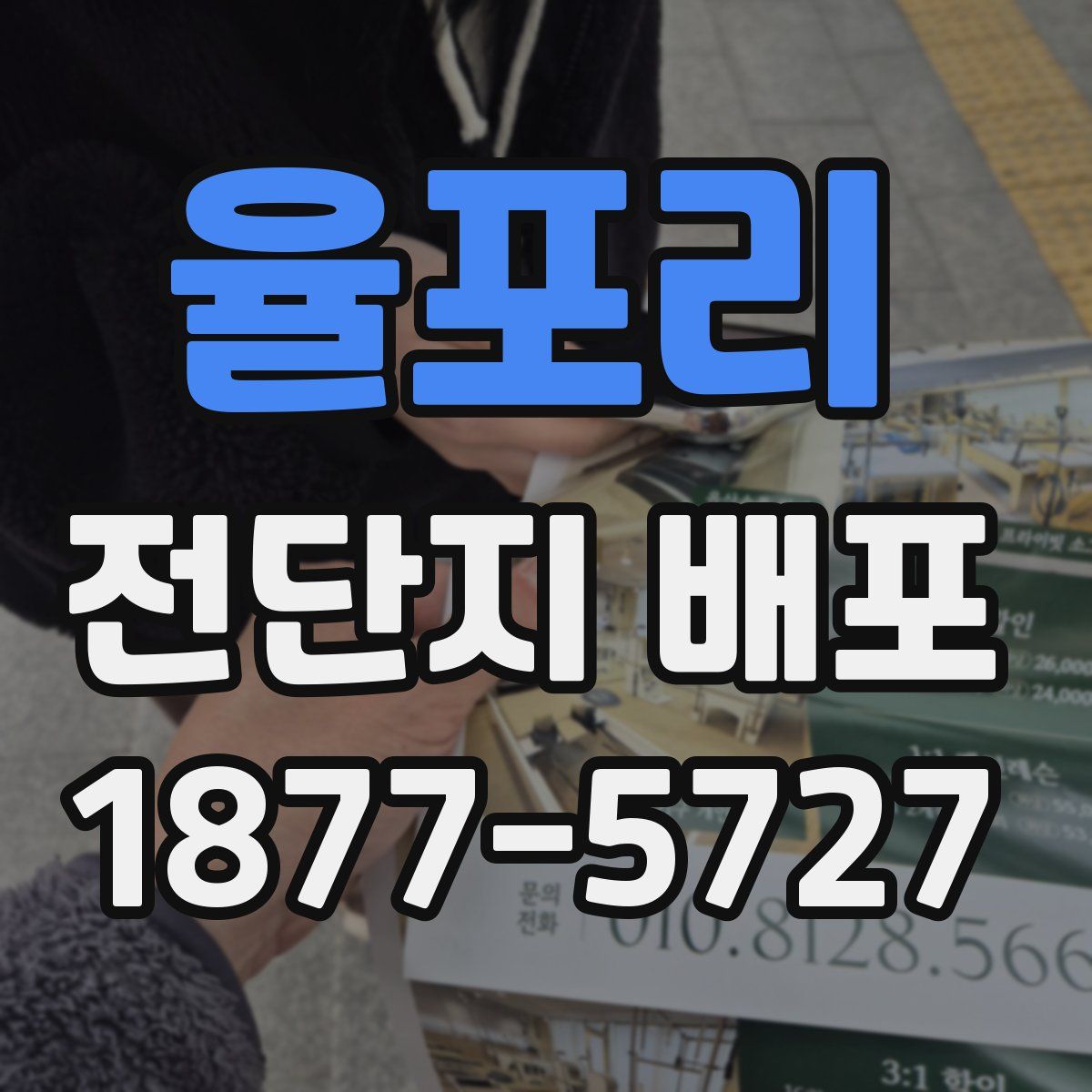 율포리 전단지 배포