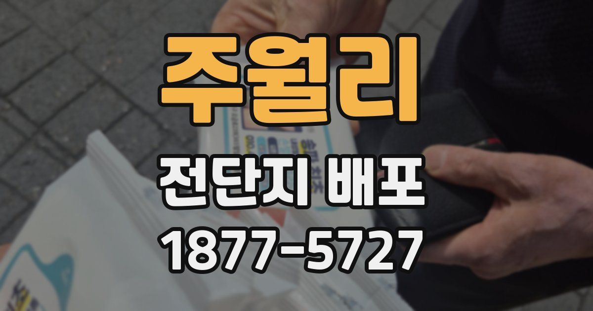 주월리 전단지 배포
