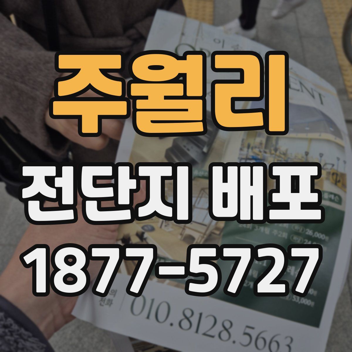 주월리 전단지 배포