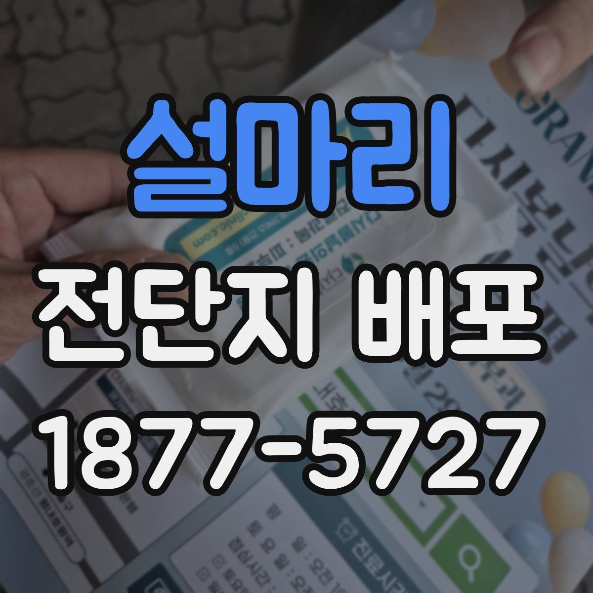 설마리 전단지 배포