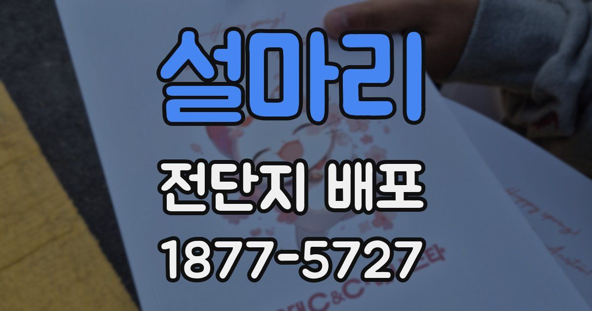 설마리 전단지 배포