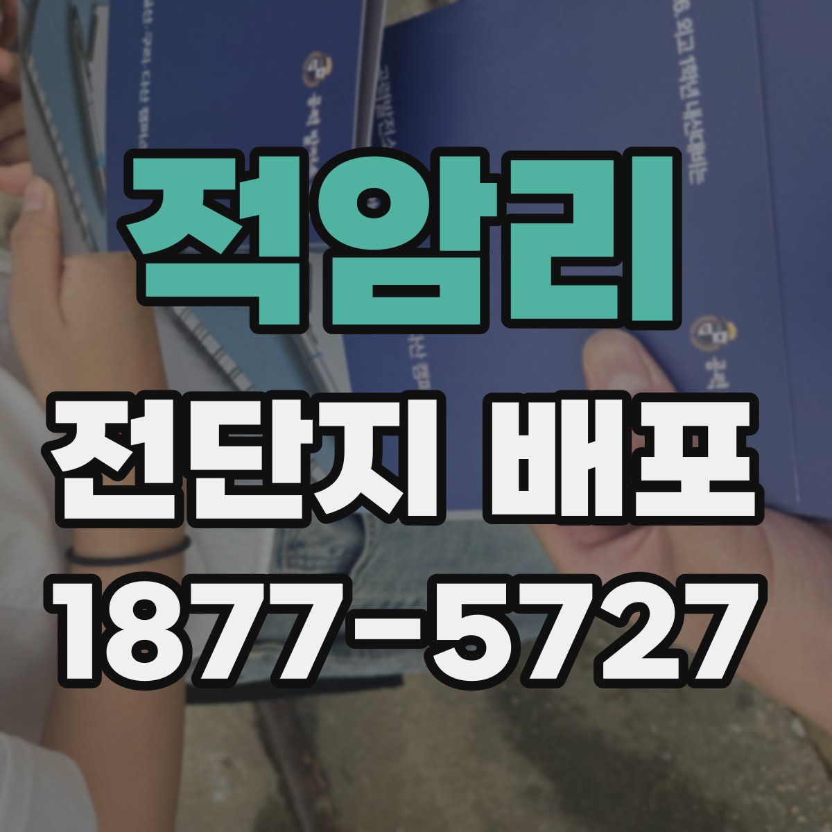 적암리 전단지 배포