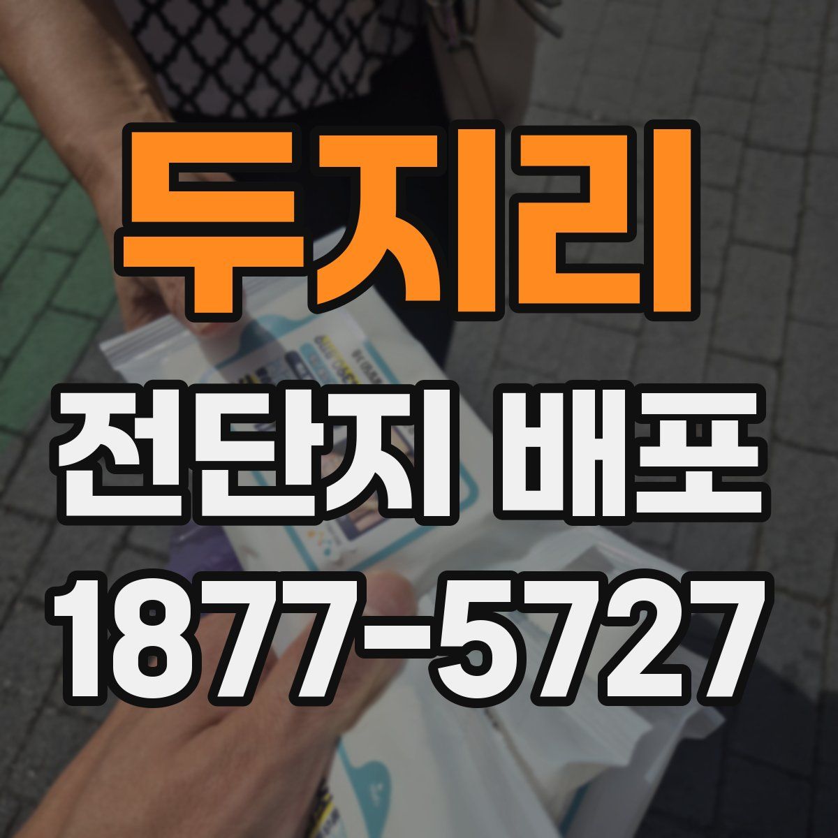 두지리 전단지 배포