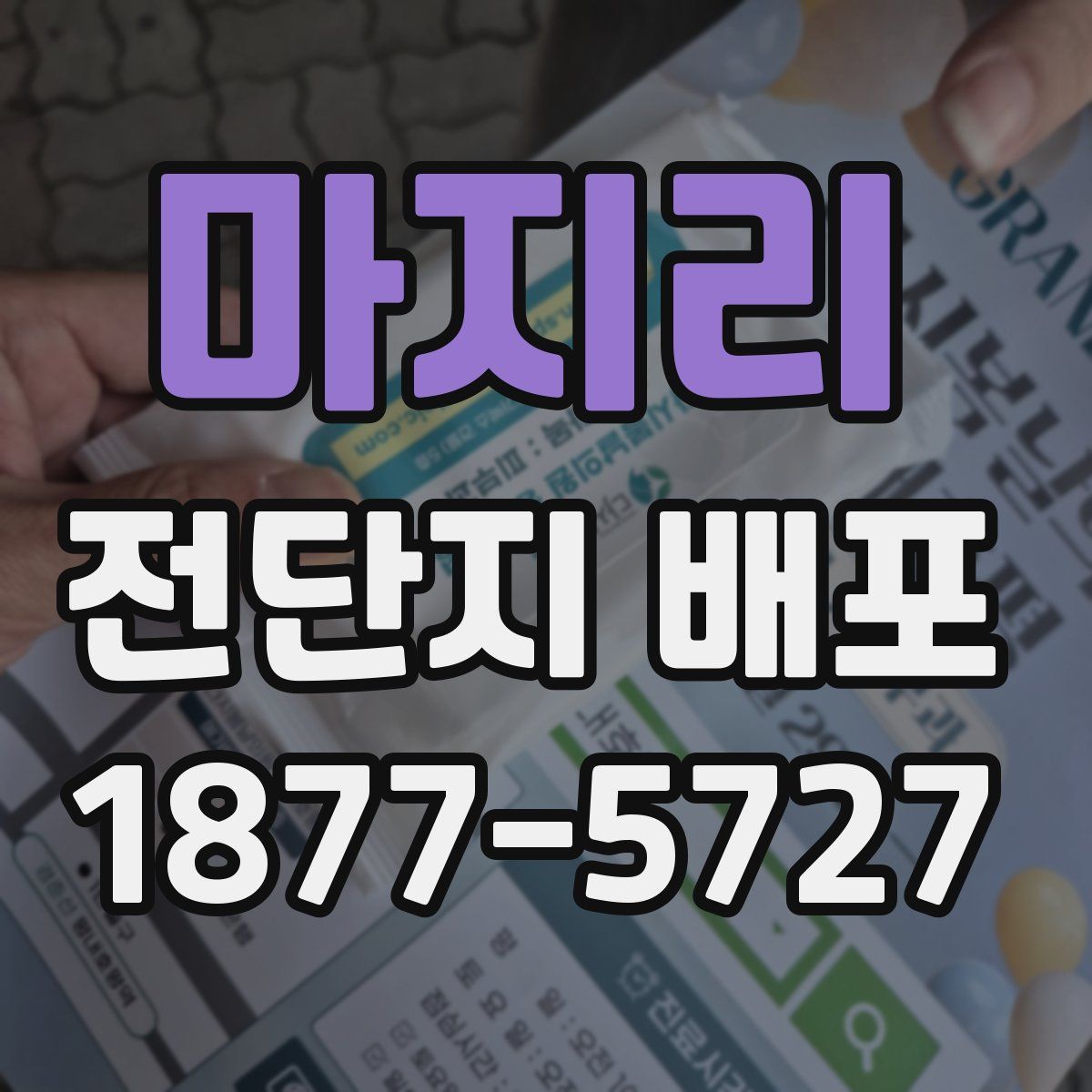 마지리 전단지 배포