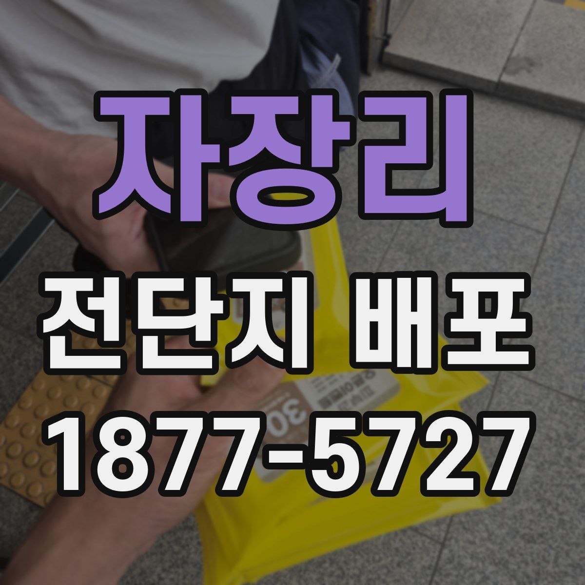 자장리 전단지 배포