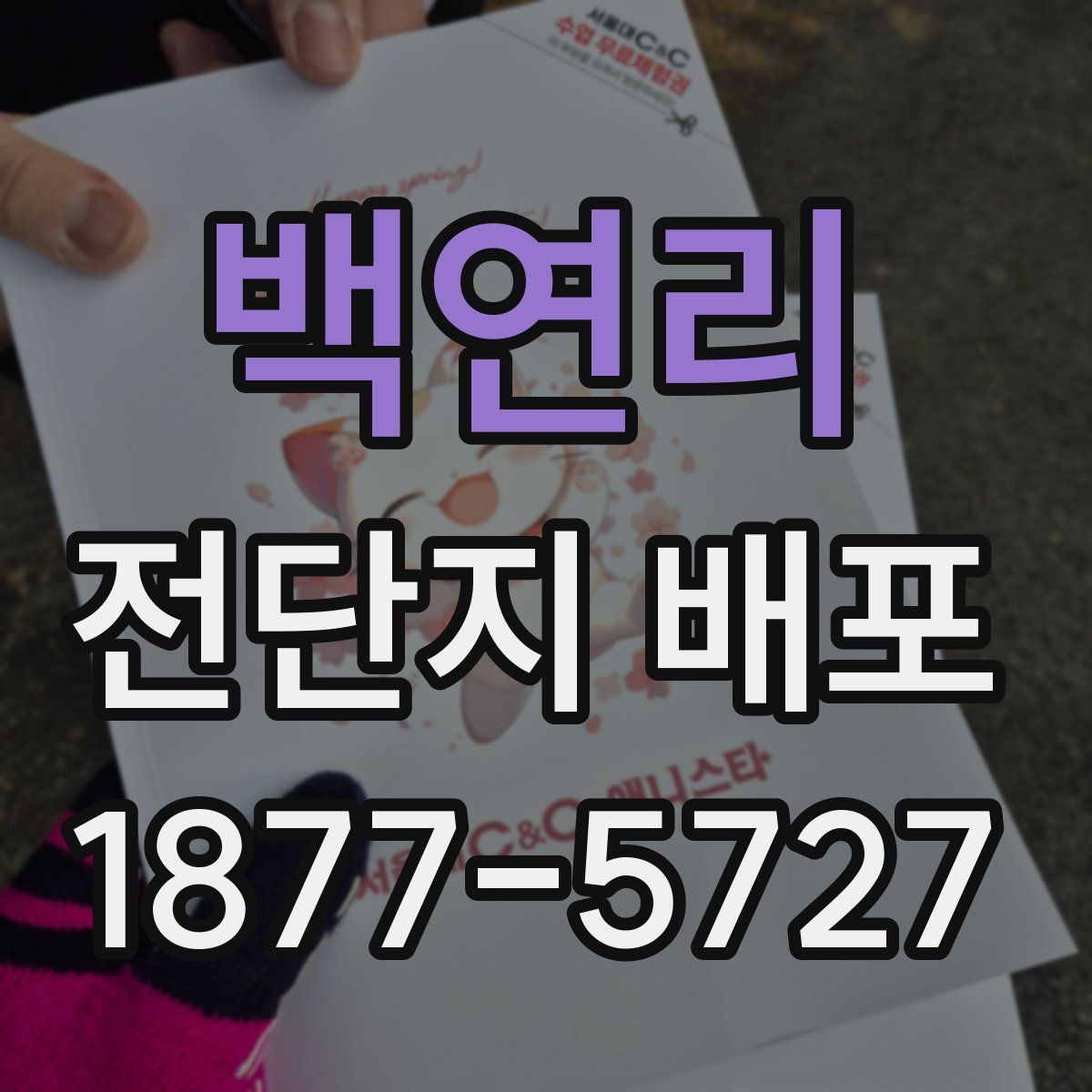 백연리 전단지 배포