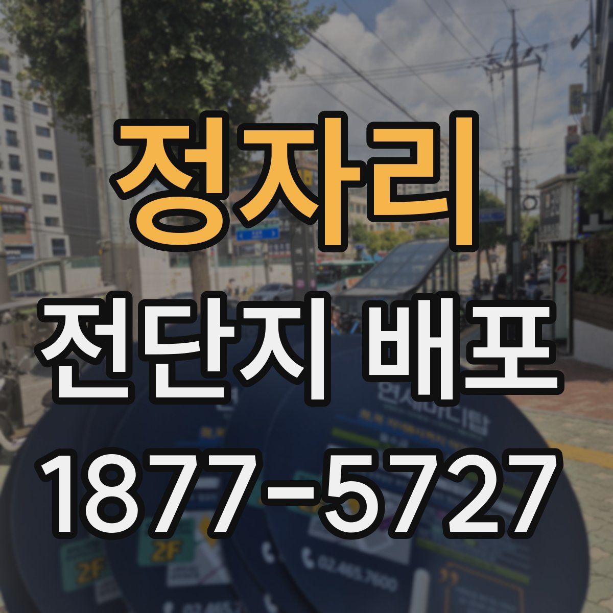 정자리 전단지 배포