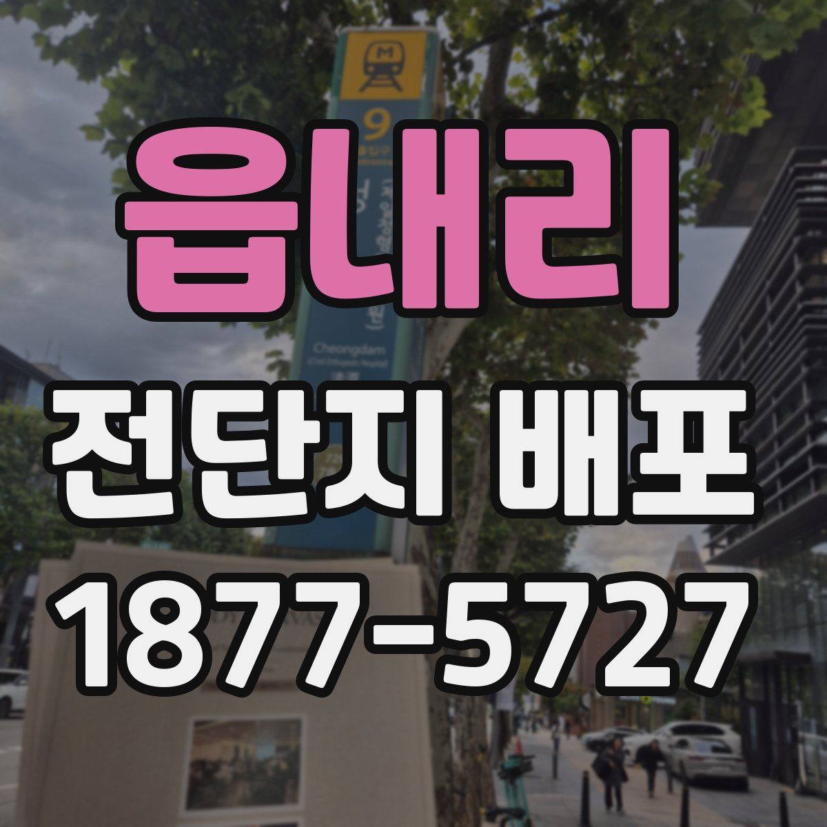 읍내리 전단지 배포