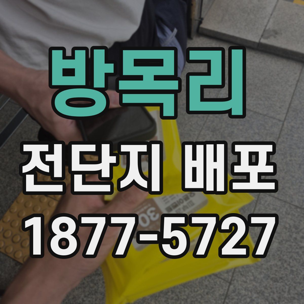 방목리 전단지 배포