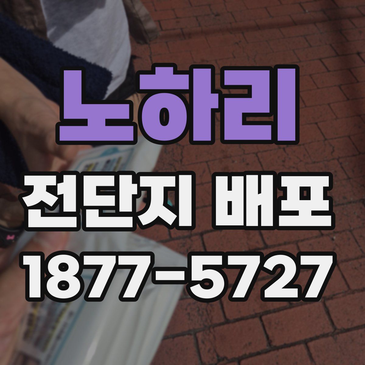 노하리 전단지 배포