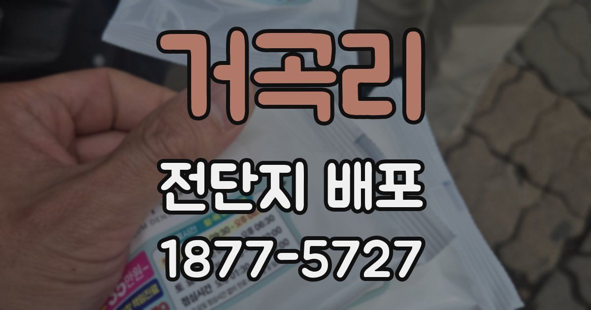 거곡리 전단지 배포
