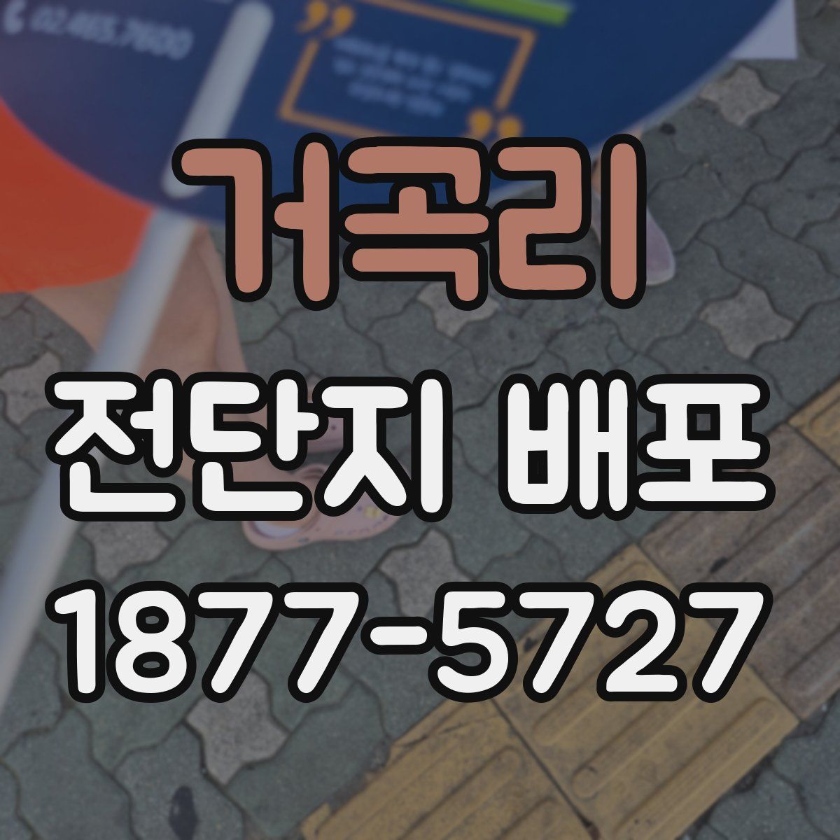 거곡리 전단지 배포