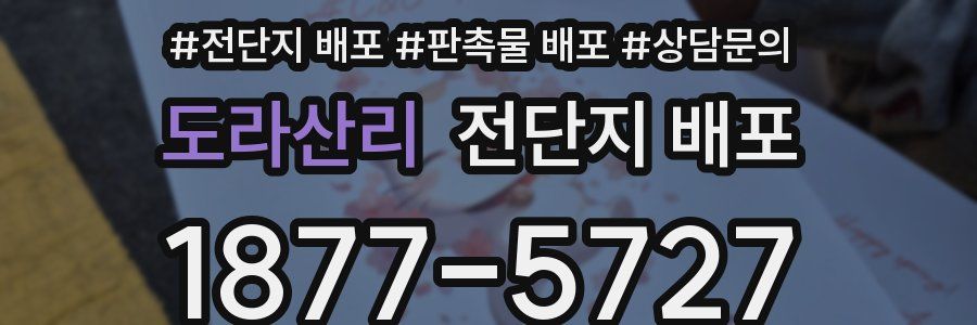 도라산리 전단지 배포