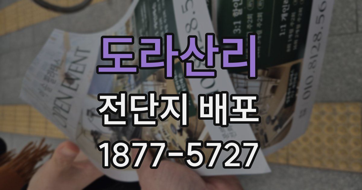 도라산리 전단지 배포