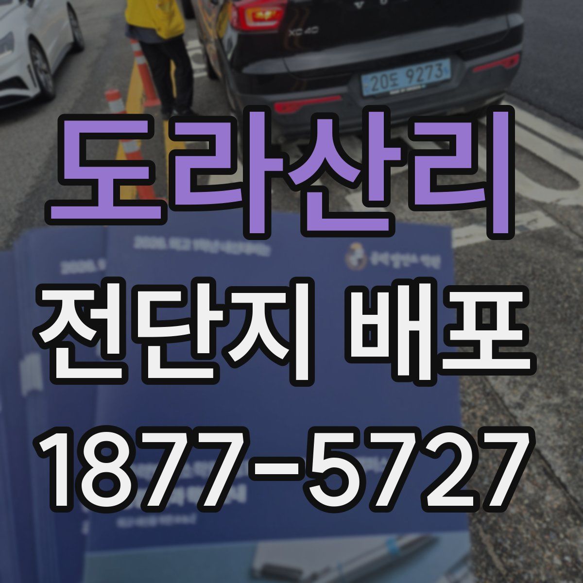 도라산리 전단지 배포