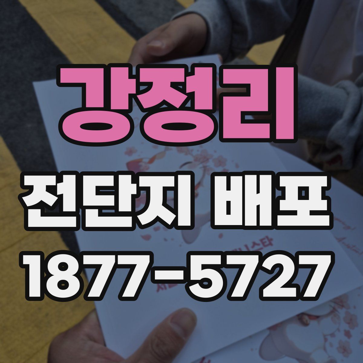 강정리 전단지 배포