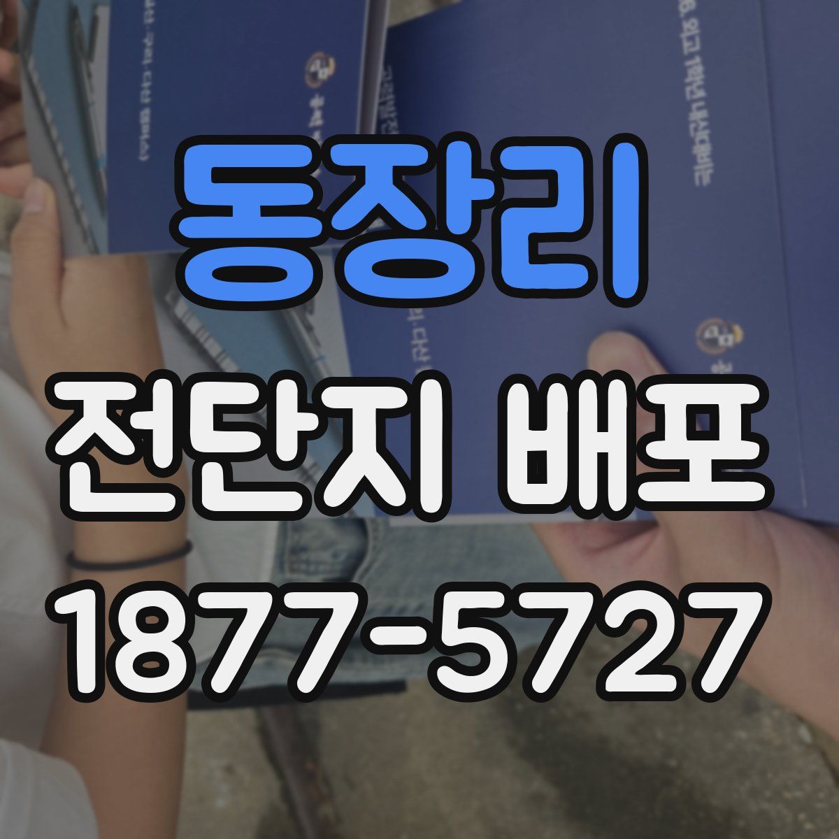 동장리 전단지 배포