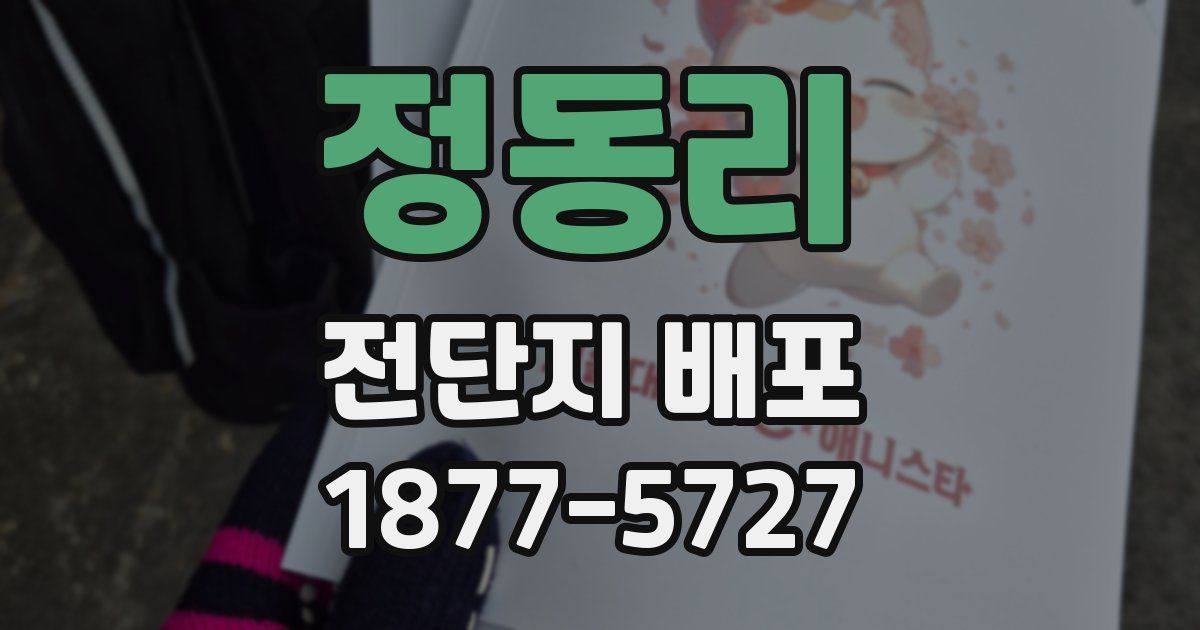 정동리 전단지 배포